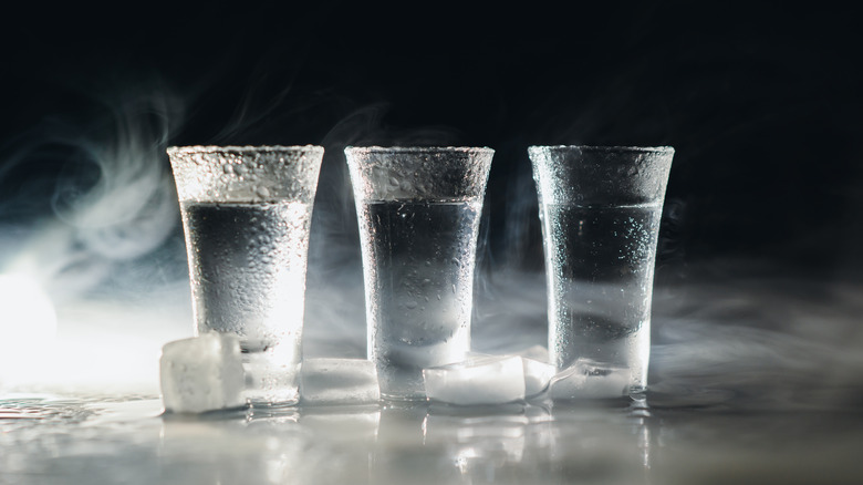 How Gluten-Free Vodka Fits a Health-Conscious Lifestyle?