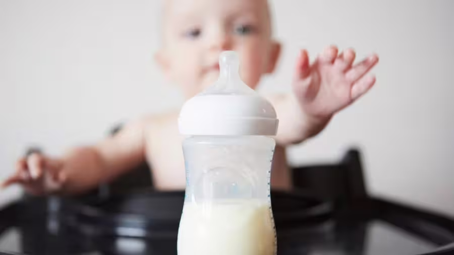 Baby Feeding Essentials: Supporting Independent Eating Skills With Practical Choices